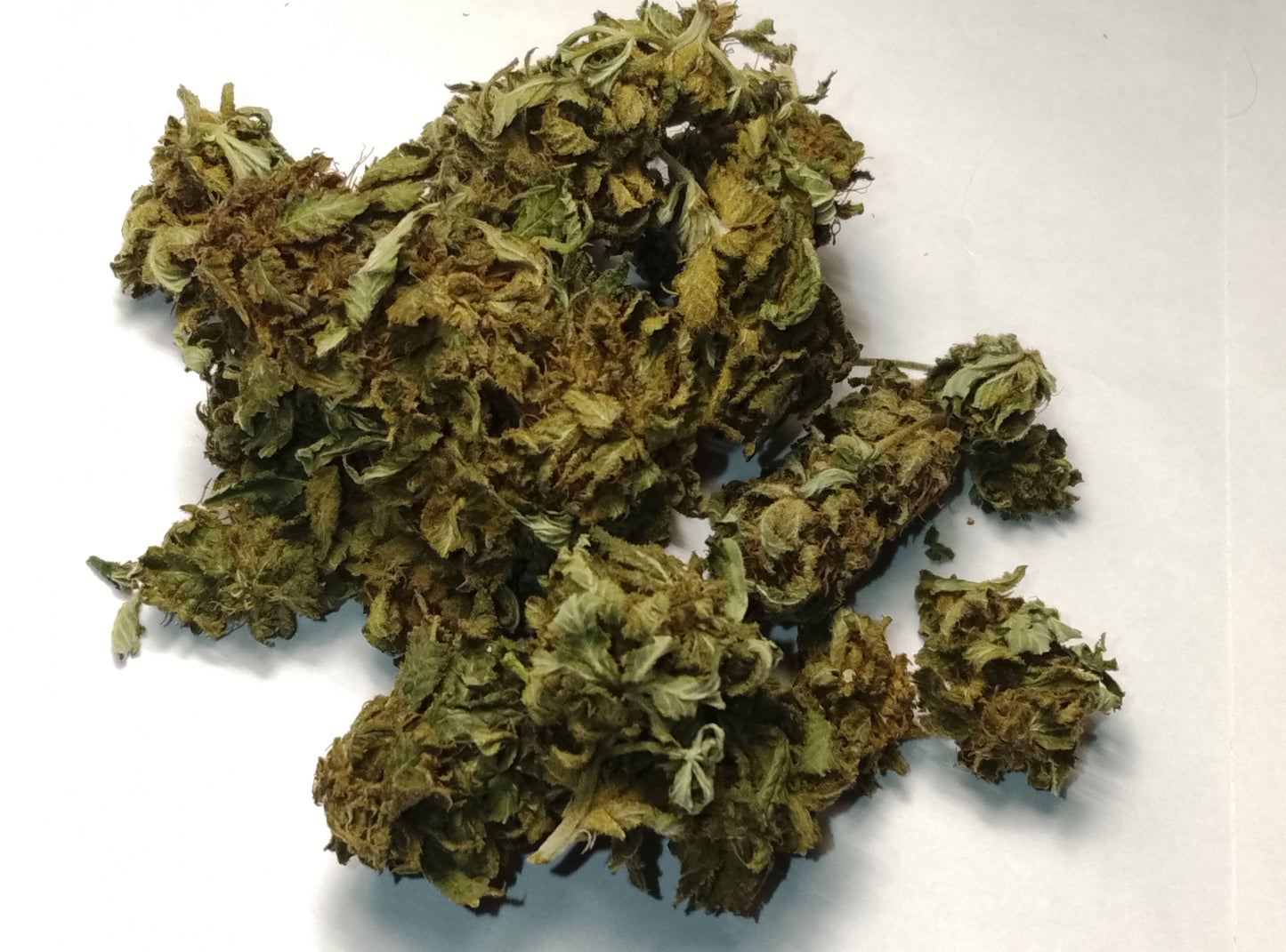 Masterkush CBD