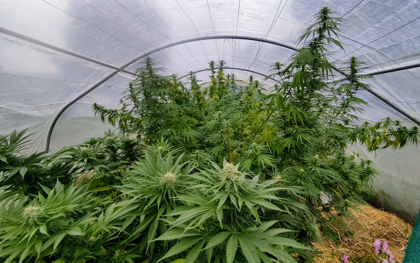 Durban CBD/CBDV