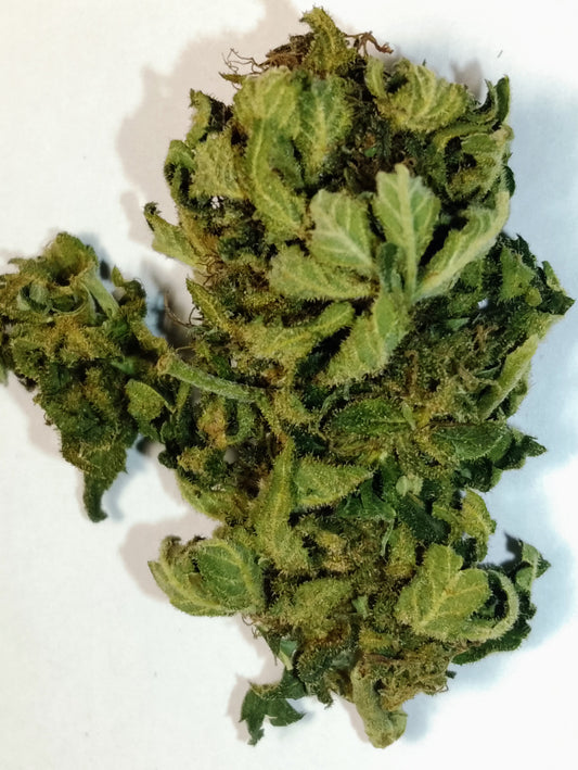 Mango Haze CBD
