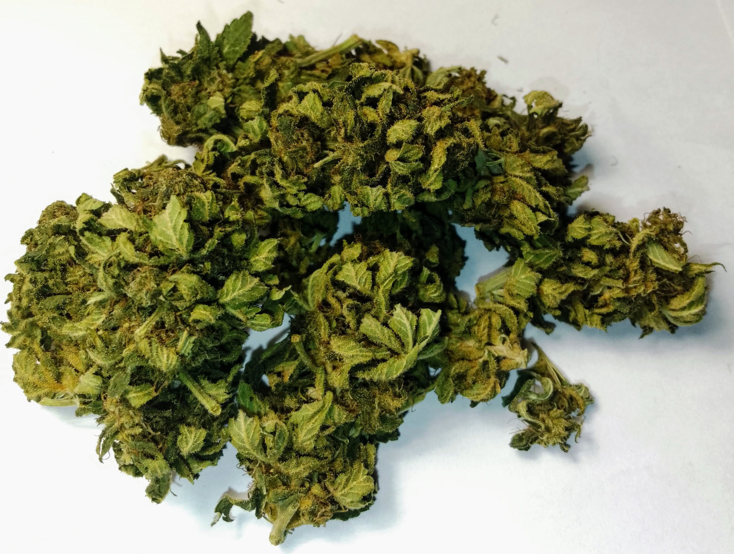 Mango Haze CBD