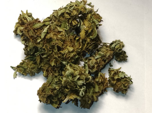 Masterkush CBD