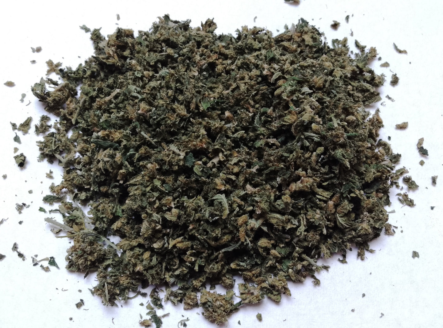 "Trim fleur de chanvre CBD mango-haze, tête greenhouse, culture sol vivant, conversion vers le bio, cultivé en Bretagne"